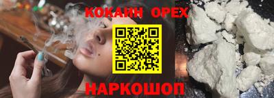соль ск Камышлов