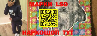 2c-b Кингисепп