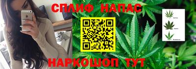 2c-b Кингисепп