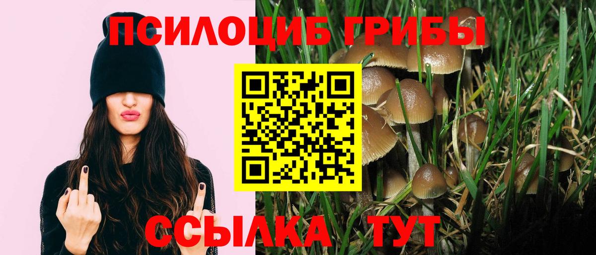Когалым  Псилоцибиновые грибы Psilocybe  Вход с VPN 